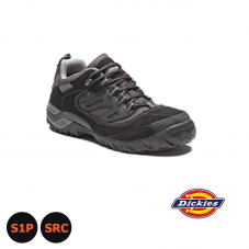 Chaussures DALTON BASSE