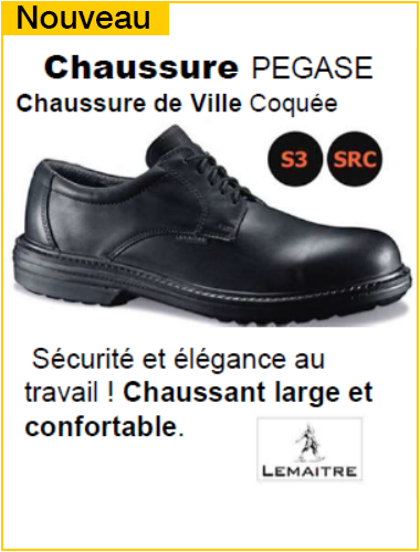 Chaussures PEGASE